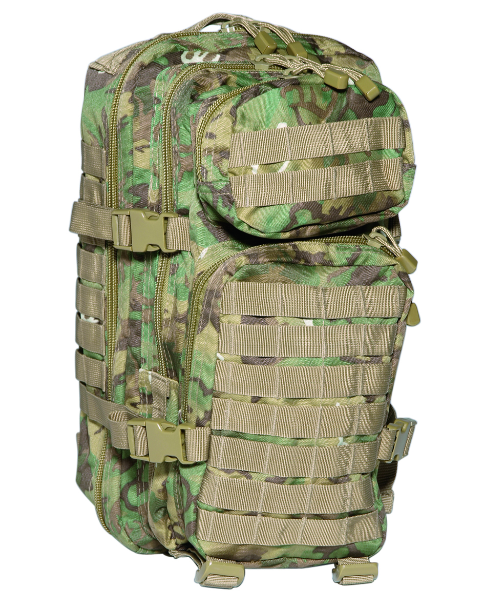 US Assault pack 20L  W/L-Arid
